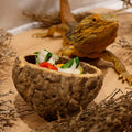 Gamelle Naturelle pour Rongeur, Reptile et Oiseau : Ourico Natural Bowl - Eublepharis