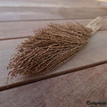 Décoration Naturelle pour Terrarium, Aquarium et Rongeur : Torche de Palmier - Eublepharis