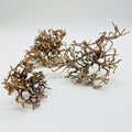 Décoration pour Terrarium et Rongeur : Buisson Naturel (5 Tailles) - Eublepharis