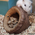 Décoration Naturelle pour Terrarium, Aquarium, Rongeur et Oiseau : Chapeuzinho - Eublepharis