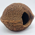Cachette pour Rongeur, Terrarium et Aquarium : Cachette Javari 15cm - Eublepharis