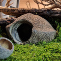 Cachette pour Rongeur, Terrarium et Aquarium : Cachette Javari 15cm - Eublepharis
