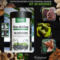 Décoration Naturelle pour Terrarium, Aquarium et Rongeur : Kit 40 Gousses - Eublepharis