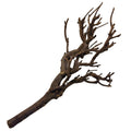 Décoration pour Aquarium, Terrarium et Rongeur : Branche Hypster Wood (3 Tailles) - Eublepharis