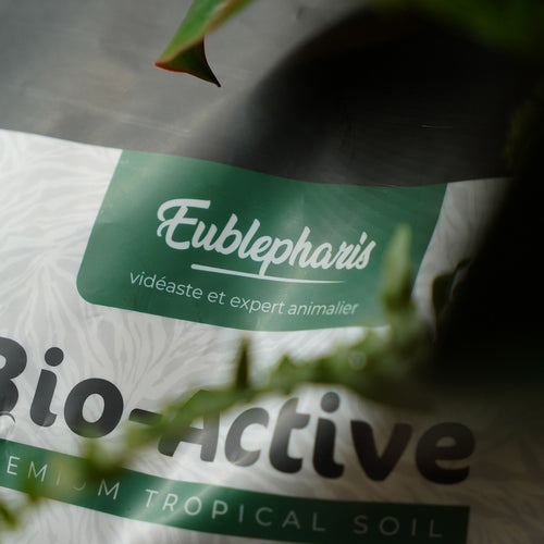 Substrat Reptile et Plante Tropicale : Premium Tropical Soil 20L - Eublepharis