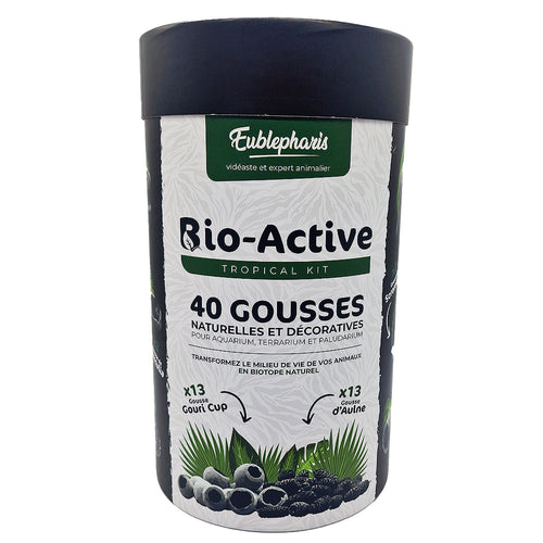 Décoration Naturelle pour Terrarium, Aquarium et Rongeur : Kit 40 Gousses - Eublepharis