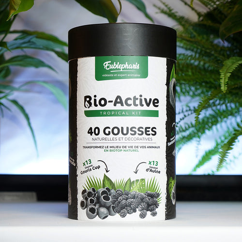 Décoration Naturelle pour Terrarium, Aquarium et Rongeur : Kit 40 Gousses - Eublepharis