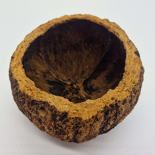 Gamelle Naturelle pour Rongeur, Reptile et Oiseau : Ourico Natural Bowl - Eublepharis