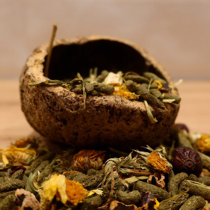 Gamelle Naturelle pour Rongeur, Reptile et Oiseau : Ourico Natural Bowl - Eublepharis