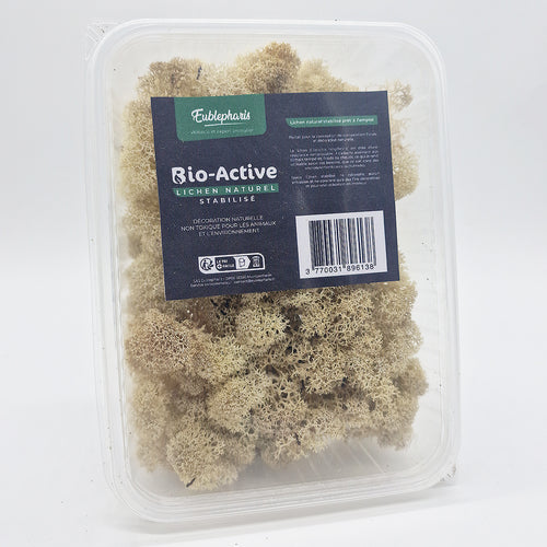Décoration Naturelle pour Terrarium et Rongeur : Lichen Stabilisé Naturel 1L - Eublepharis