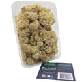 Décoration Naturelle pour Terrarium et Rongeur : Lichen Stabilisé Naturel 1L - Eublepharis