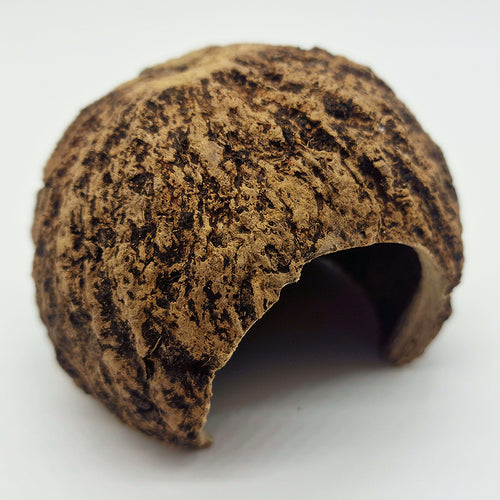Cachette pour Rongeur, Terrarium et Aquarium : Cachette Kabuto 8-12cm - Eublepharis