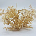Décoration pour Terrarium et Rongeur : Buisson Blanchi (5 Tailles) - Eublepharis