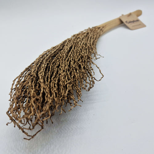 Décoration Naturelle pour Terrarium, Aquarium et Rongeur : Torche de Palmier - Eublepharis