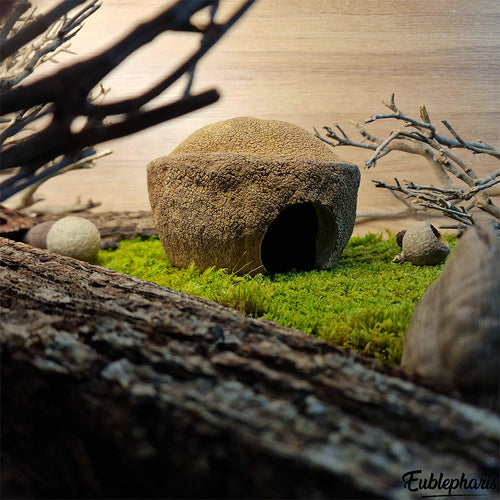 Cachette pour Rongeur, Terrarium et Aquarium : Cachette Bilbo 15cm - Eublepharis