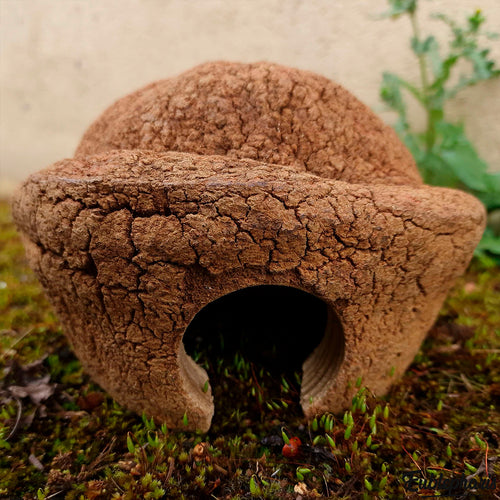 Cachette pour Rongeur, Terrarium et Aquarium : Cachette Bilbo 15cm - Eublepharis