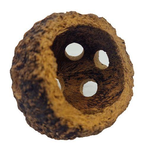 Cachette pour Crevettes, Poissons et Insectes : Cachette Ennea 8-12cm - Eublepharis