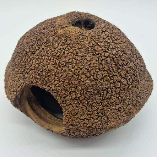 Cachette pour Rongeur, Terrarium et Aquarium : Cachette Javari 15cm - Eublepharis