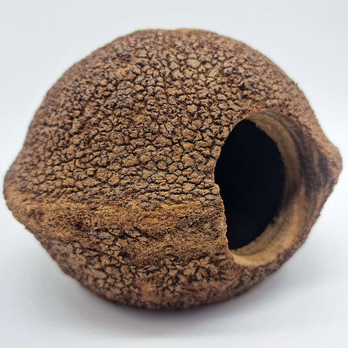 Cachette pour Rongeur, Terrarium et Aquarium : Cachette Javari 15cm - Eublepharis