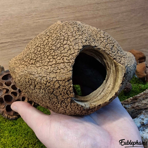 Cachette pour Rongeur, Terrarium et Aquarium : Cachette Javari 15cm - Eublepharis