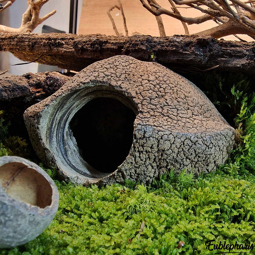 Cachette pour Rongeur, Terrarium et Aquarium : Cachette Javari 15cm - Eublepharis