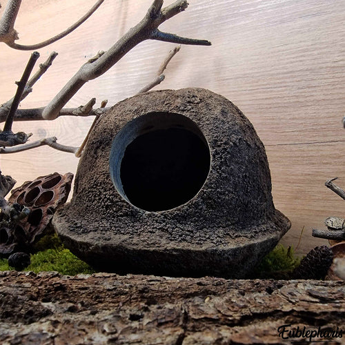 Cachette pour Rongeur, Terrarium et Aquarium : Cachette Gaia 15cm - Eublepharis