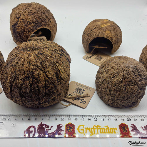 Cachette pour Rongeur, Terrarium et Aquarium : Cachette Kabuto 8-12cm - Eublepharis