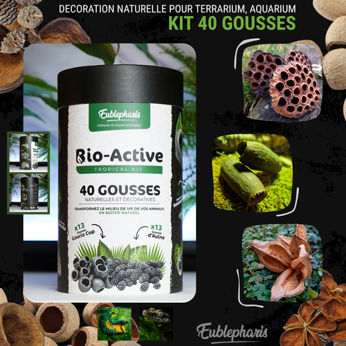 Décoration Naturelle pour Terrarium, Aquarium et Rongeur : Kit 40 Gousses - Eublepharis