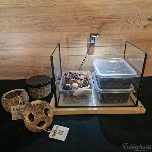 [PRECOMMANDE] Kit Complet : Terrarium pour Cloportes, Prêt à l’emploi – Eublepharis