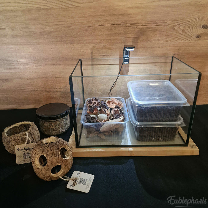 [PRECOMMANDE] Kit Complet : Terrarium pour Cloportes, Prêt à l’emploi – Eublepharis