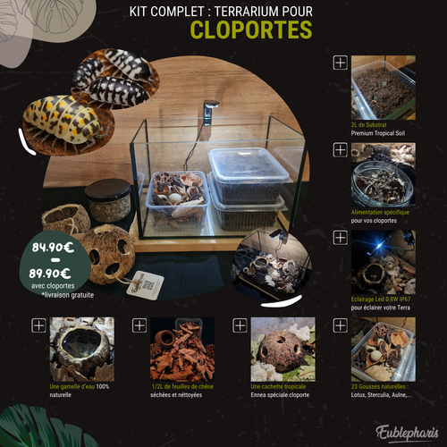 [PRECOMMANDE] Kit Complet : Terrarium pour Cloportes, Prêt à l’emploi – Eublepharis
