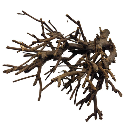 Décoration pour Aquarium, Terrarium et Rongeur : Branche Hypster Wood (3 Tailles) - Eublepharis