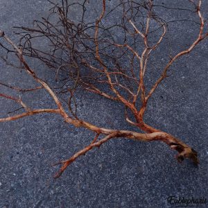 Branche Décorative Naturelle pour Terrarium – Branche N°1 : Taille 60x60cm