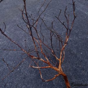 Branche Décorative Naturelle pour Terrarium – Branche N°2 : Taille 90x60cm